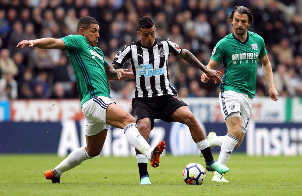 隊提供了強 隊提供了強